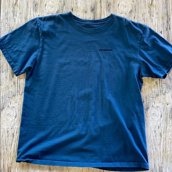 Patagonia Other - PATAGONIA - Blue tee
